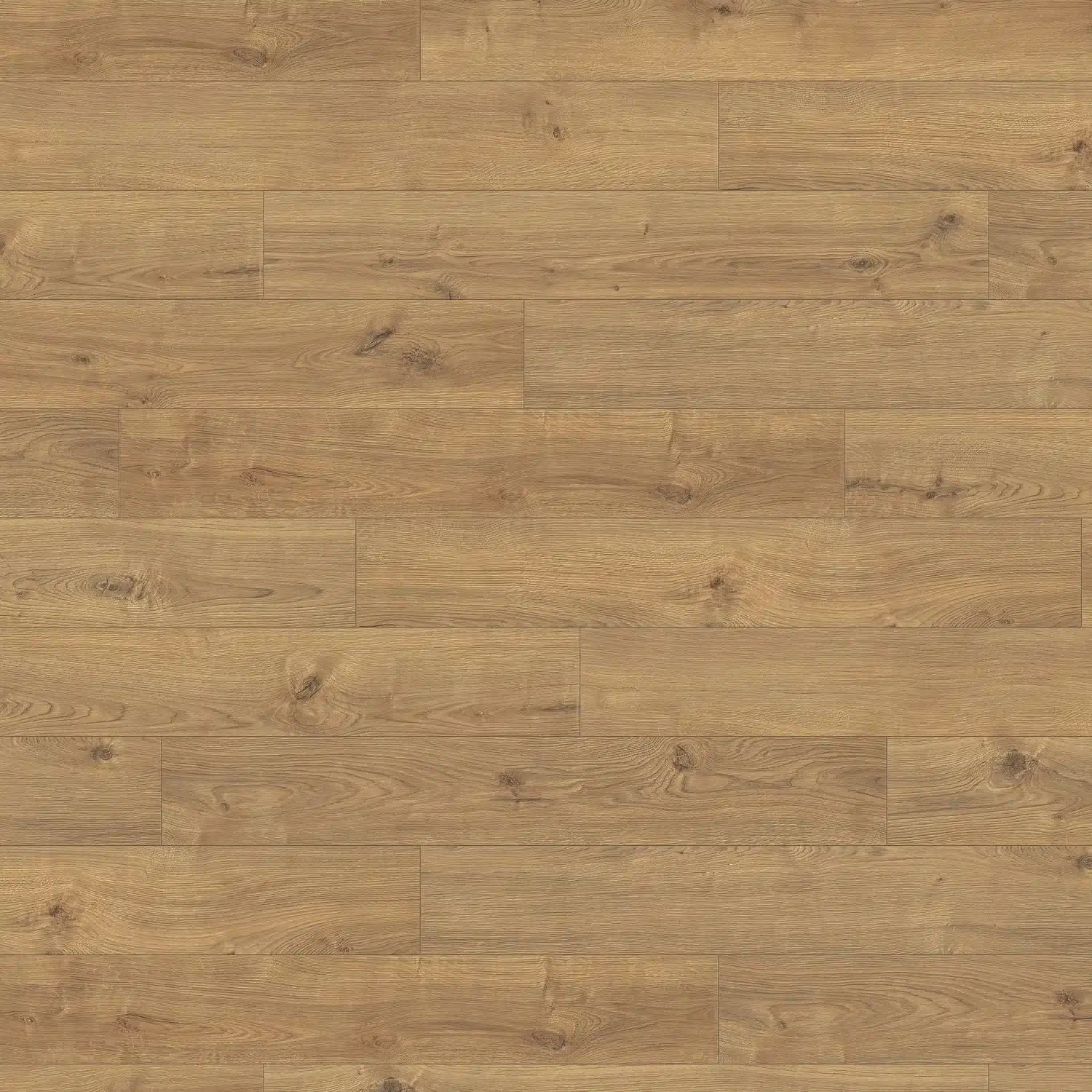 Stratifié chêne Portland nature XL, Haro