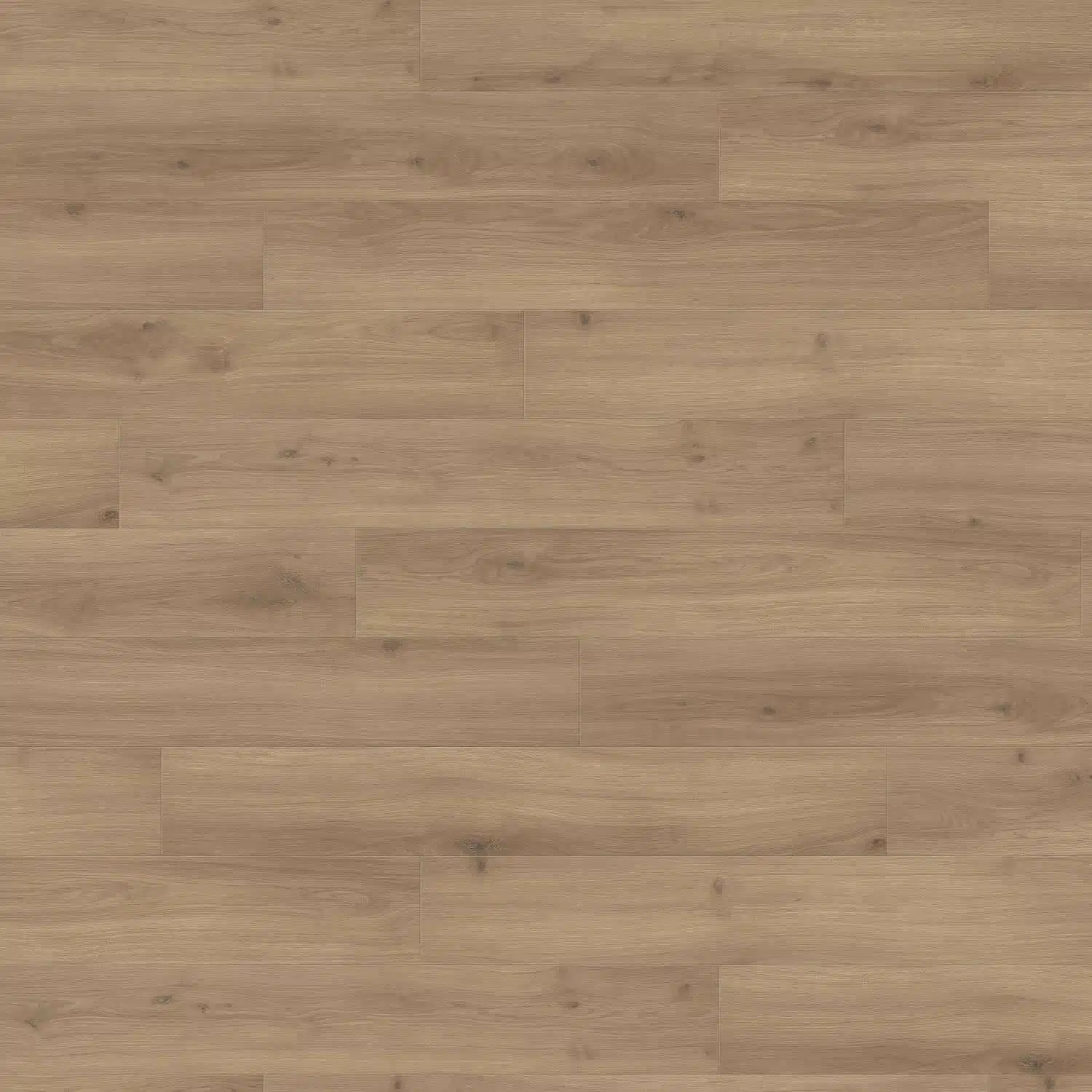 Stratifié chêne Emilia puro XL Aqua