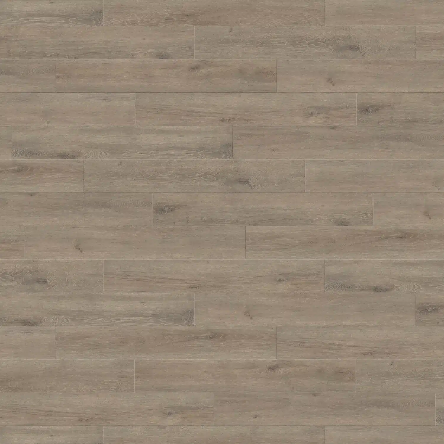 Stratifié Chêne Veneto Mocca Aqua, Haro